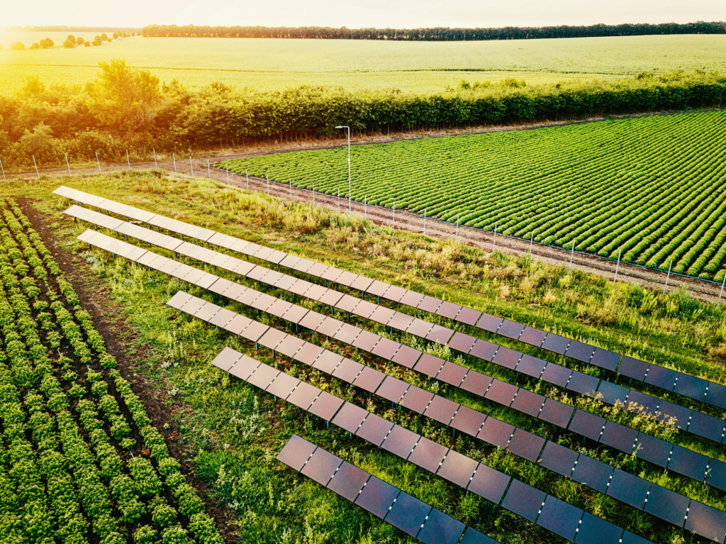 Agricultural solar panels on a farm