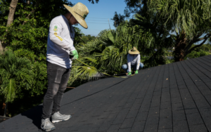 Instalación de paneles solares: Prepara tu hogar fácil